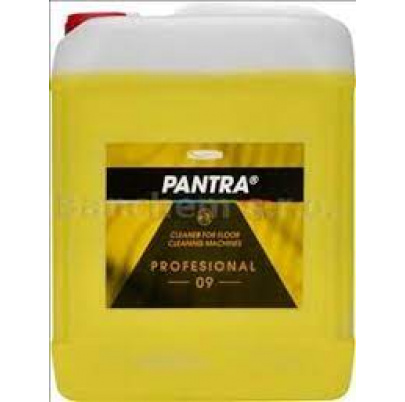 PANTRA PROFESIONAL 09 nepenivý kyslý čistič - 5 L