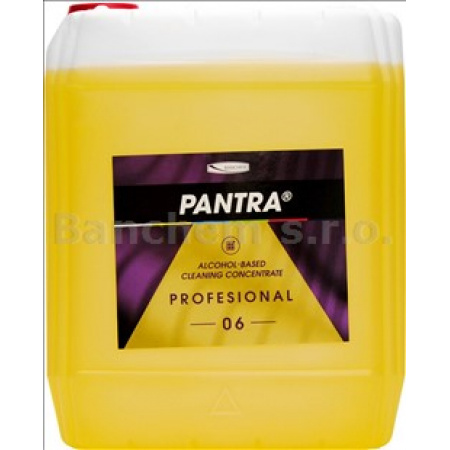 PANTRA PROFESIONAL 06 alkoholový čistič na všetky lesklé povrchy - 5 L 